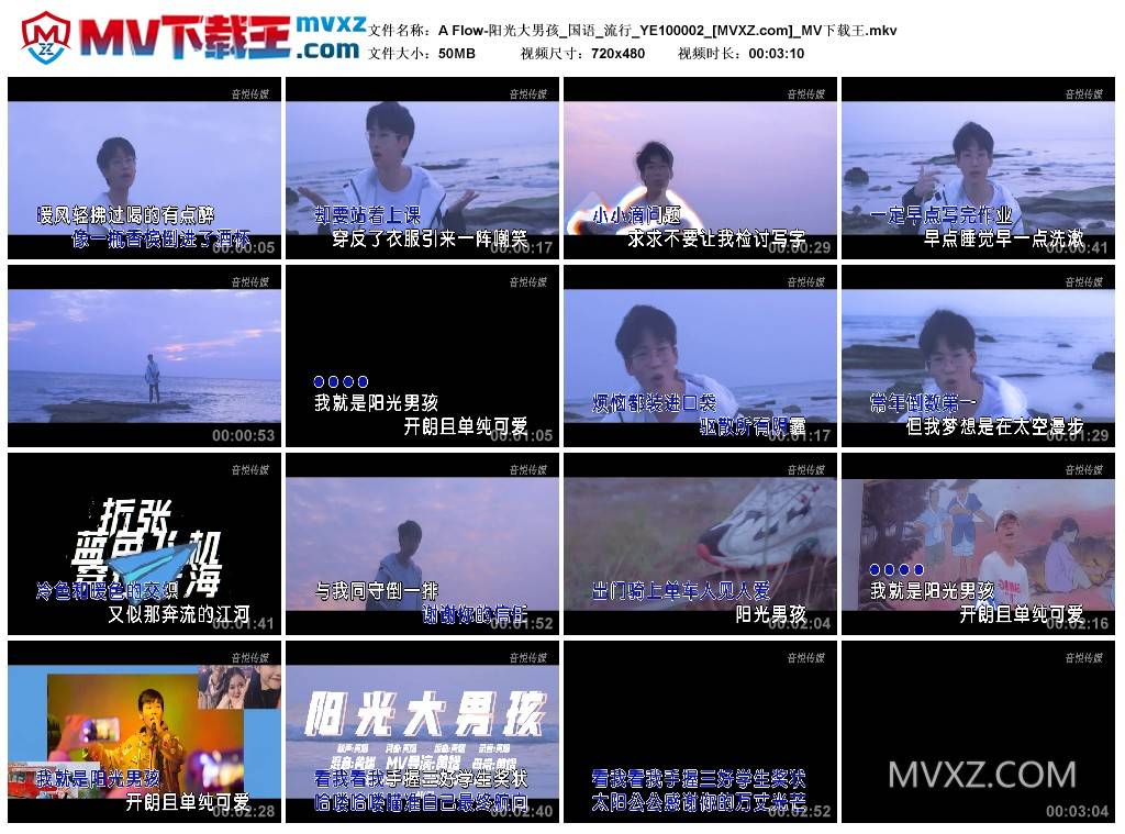 A Flow-阳光大男孩_国语_流行_YE100002